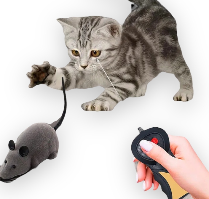 Juguete Ratón A Control Remoto Didáctico Para Gatos  
